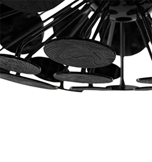 Newton Eliptic Black