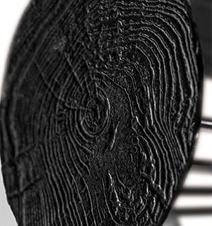 Newton Eliptic Black