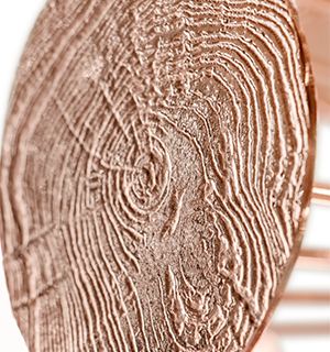 Newton Eliptic Copper