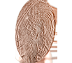 newton-eliptic-copper thumbnail 6