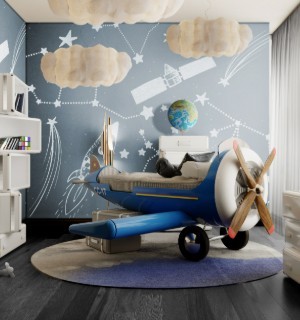 sky one plane bed