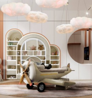 sky one plane bed