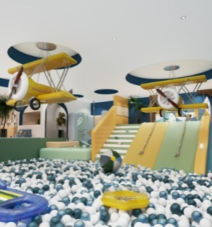 sky b plane bed