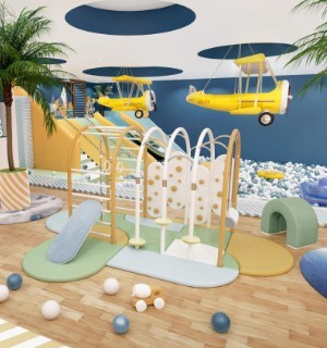 sky b plane bed