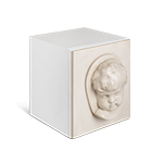 Coleccionista bookcase