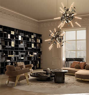 Coleccionista bookcase