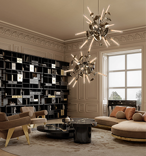 Coleccionista bookcase
