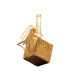 cubic filigree cricket small Wall Lamp