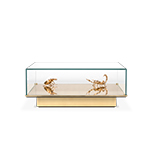 Metamorphosis emperador Center Table